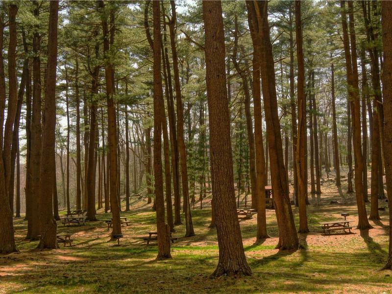 sudoku pattern recognition screenshot 3