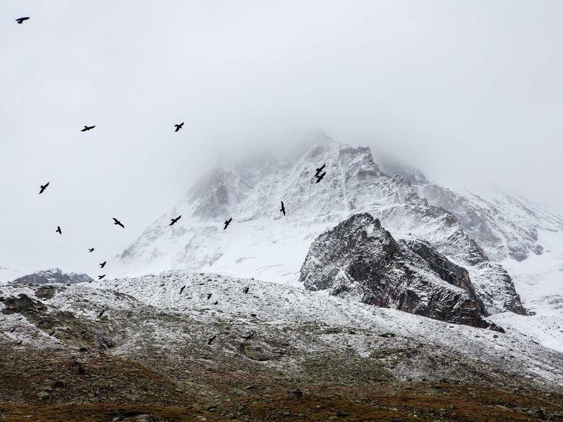 sudoku unique rectangle